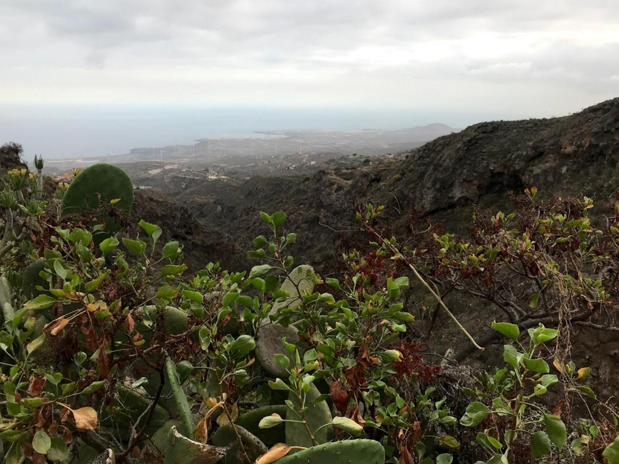 Finca Las Polinarias Casa Cueva En Fasnia Santa Cruz de Tenerife Esterno foto