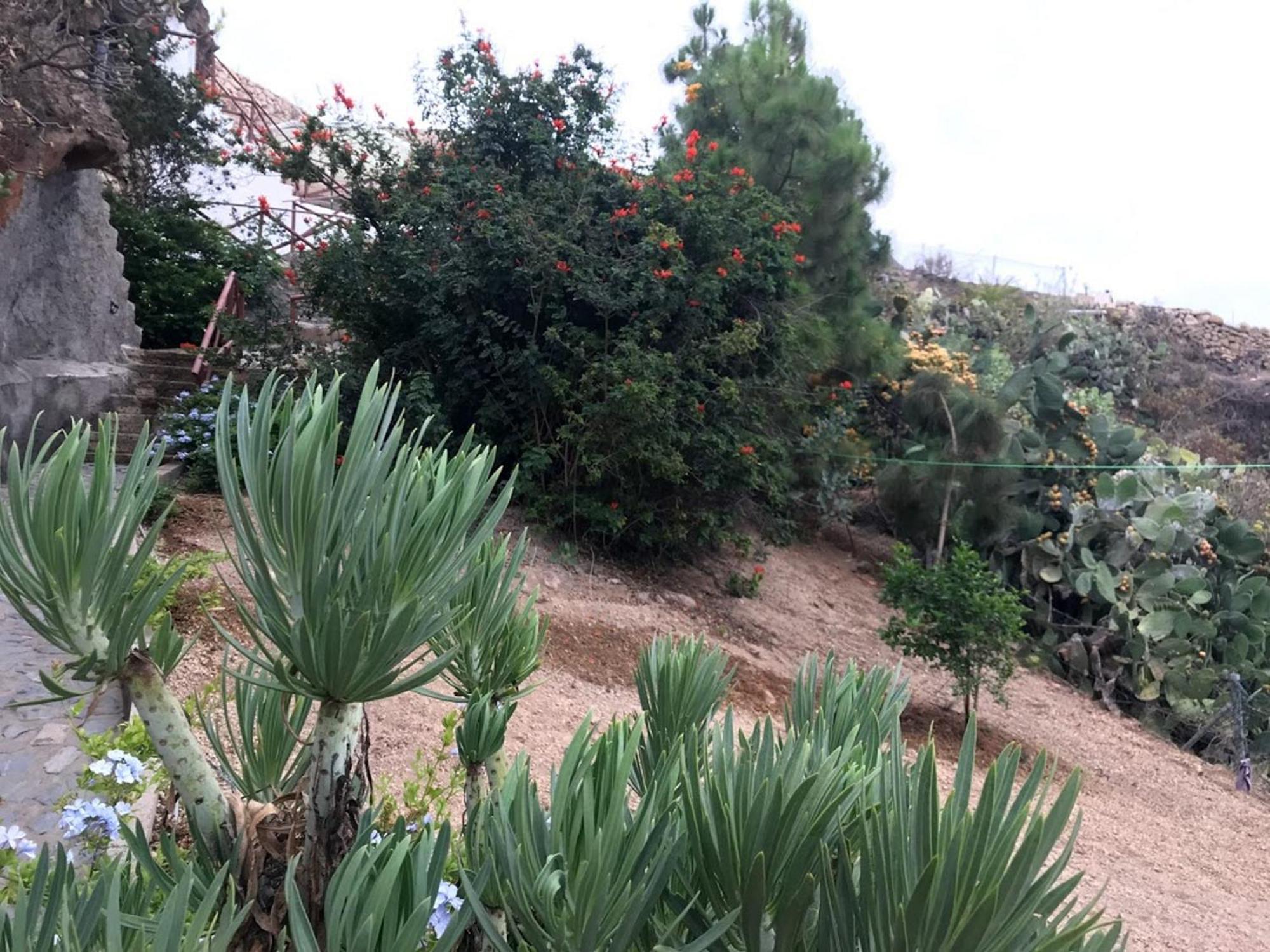 Finca Las Polinarias Casa Cueva En Fasnia Santa Cruz de Tenerife Esterno foto