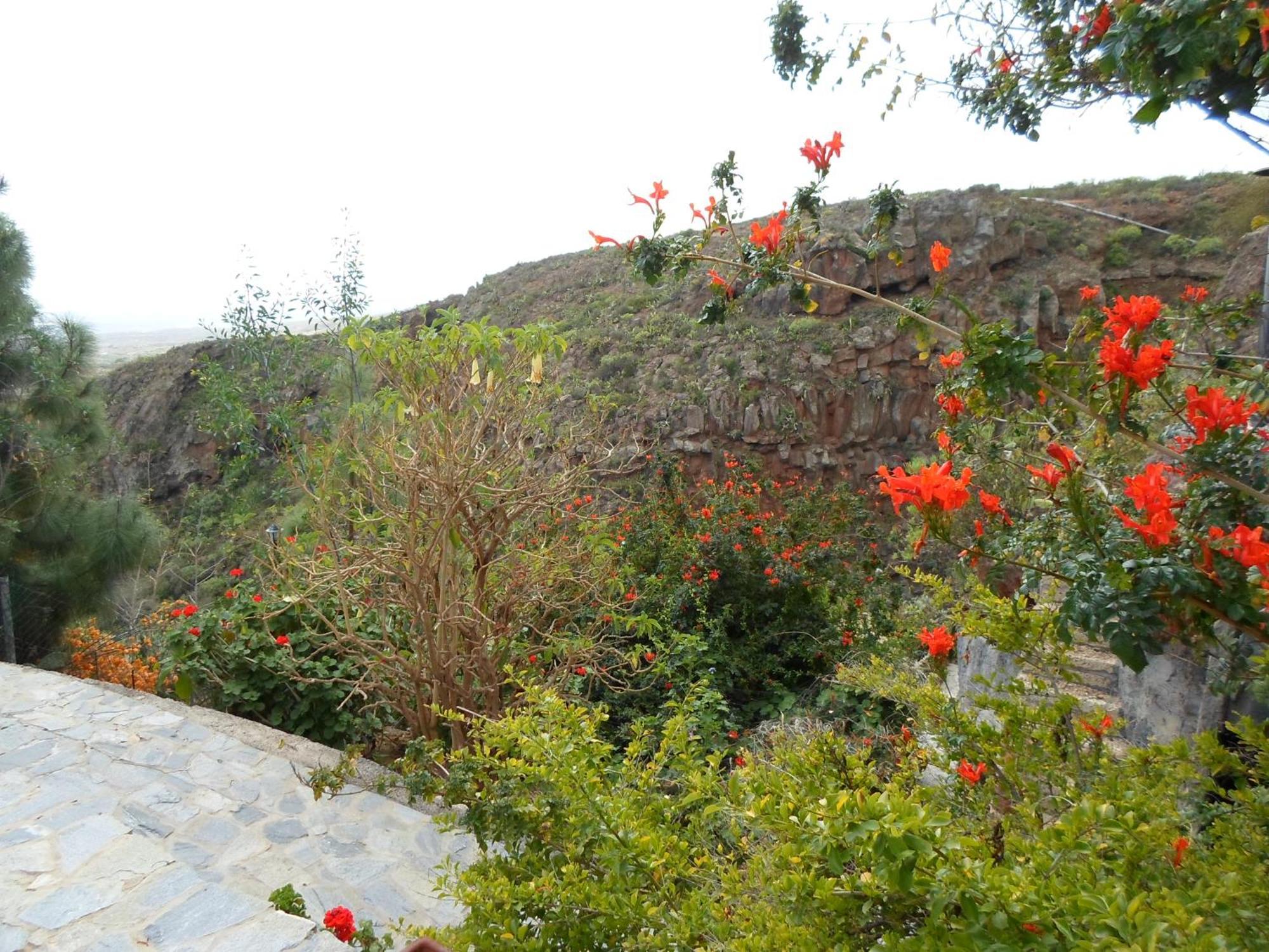 Finca Las Polinarias Casa Cueva En Fasnia Santa Cruz de Tenerife Esterno foto